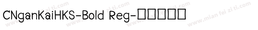 CNganKaiHKS-Bold Reg字体转换